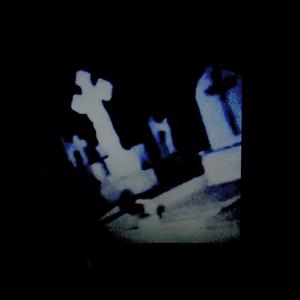 Fly / Birds (Explicit)