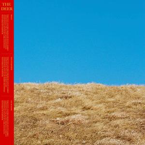 Tie My Rope (feat. Present Company)