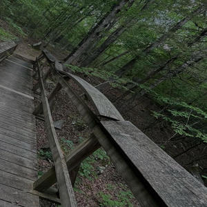 Wasted Hours (Explicit)