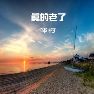 真的老了