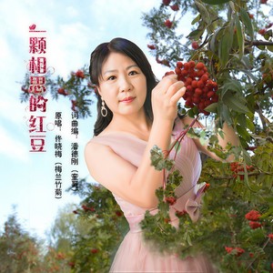 一颗相思的红豆
