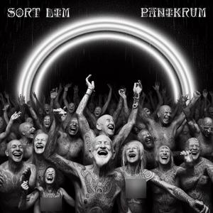 ArtBroken (feat. Heidrik) (Panikrum Version)