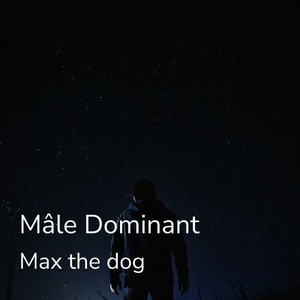 Mâle dominant