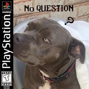 No Question (Explicit)