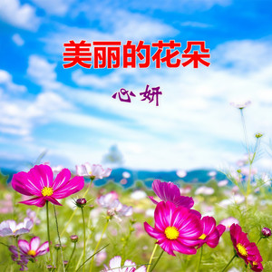 美丽的花朵