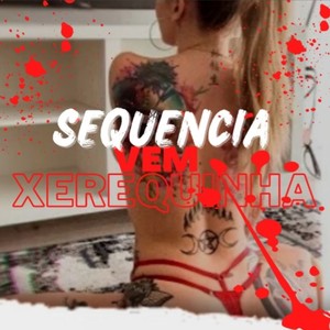 MTG SEQUENCIA VEM XEREQUINHA (Explicit)