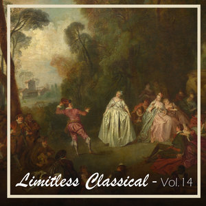 Violin Sonata No. 1 In G Major, Op. 78 - Sonata For Violin And Piano In D Minor Presto