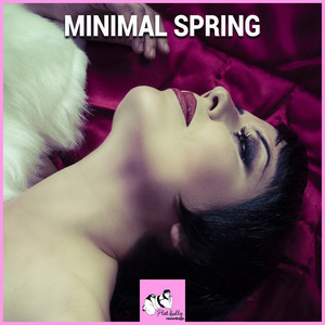 Minimal Spring