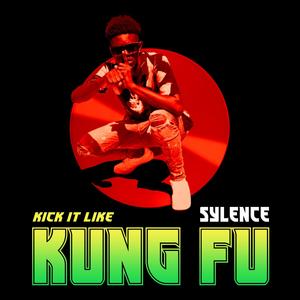 Kick It Like Kung Fu(feat. A.Son)