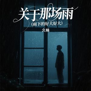 关于那场雨 (雨下的好大好大)封面