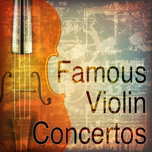 Violin Concerto in E Minor, Op. 64, MWV O14 - II. Andante