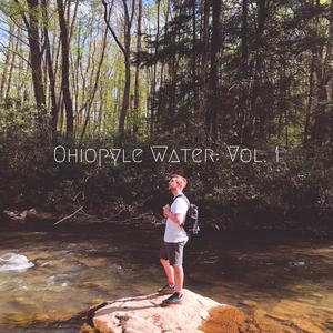 Nighttime Brook + Bugs