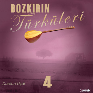 Bozkırın Türküleri, Vol. 4 (Traditional)