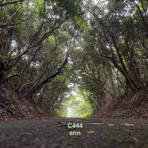 C444 (原曲)