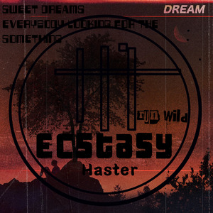 Ecstasy（run wild）