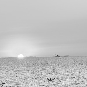 WIEM WIEM (Explicit)