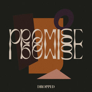 Promise³ (feat. Eric Schulz)