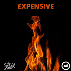 £xpensive (Explicit)