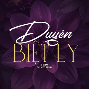 Duyên Biệt Ly (Đại Mèo Remix Beat)
