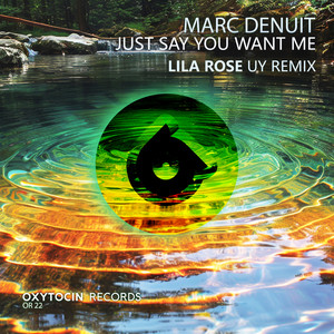 Just Say You Want Me (Lila Rose UY Remix)