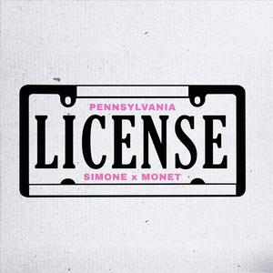 License (Explicit)