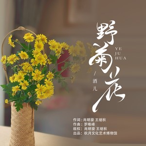 野菊花