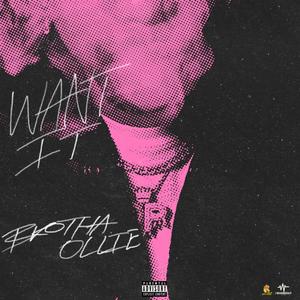 Want It (Explicit)