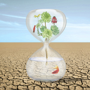 Mosaic Flows (Explicit)