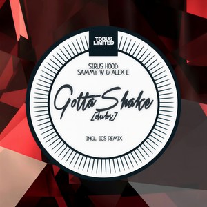 Gotta Shake (Dub Mix)