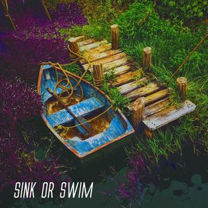 Sink Or Swim (feat. Ace Enders & Mike Kennedy)