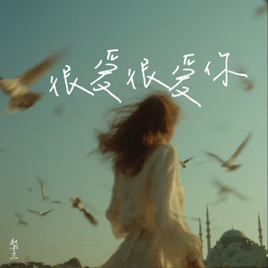 很爱很爱你-赵十三
