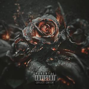 LE MAL(feat. Dani Bibo & SquaLow) (Explicit)