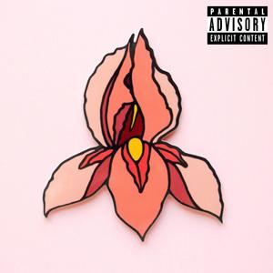 its ah vibe (feat. Jade Winter White & Bruce Hobb) (Explicit)