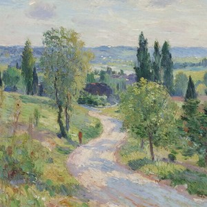 红红火火好运来 (DJ版)