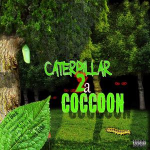 Caterpillar 2 A Coccoon (Explicit)