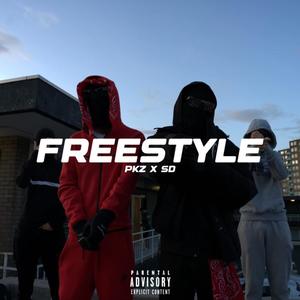 Freestyle (feat. SD.) (Explicit)