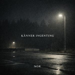 Känner Ingenting