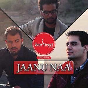 Jaanu Naa