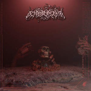 PULL BACK (Explicit)