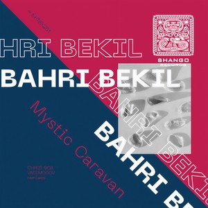 Mystic Caravan (Chris Goa 303 remix)