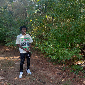 Run15 (Explicit)