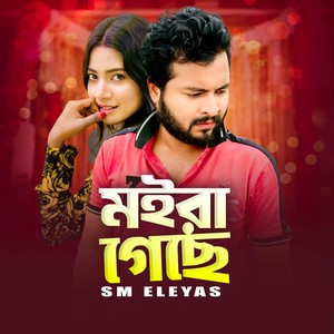 মইরা গেছে