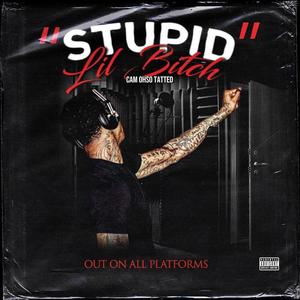 Stupid Lil ***** (Explicit)