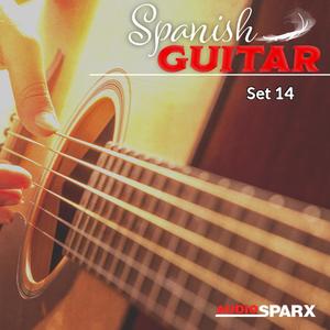 Spanish Guitar, Set 14