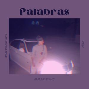 Palabras (feat. ŁuVy) (Explicit)