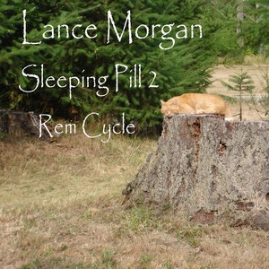 Sleeping Pill 2 (Rem Cycle)