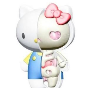 hello kitty (feat. hoshie star) (Explicit)
