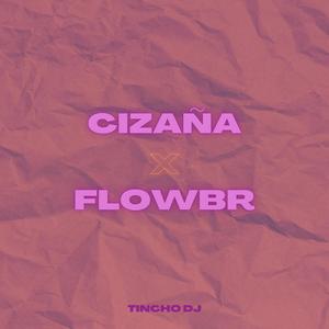 Cizaña X Flow Br