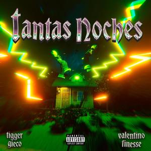 Tantas Noches (feat. Valentino Finesse) (Explicit)
