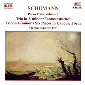 Studien fur den Pedal-Flugel (Studies for Pedal Piano), Op. 56 (arr. T. Kirchner for piano trio) - V. Nicht zu schnell (第五乐章 不太快)